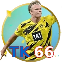 TK66