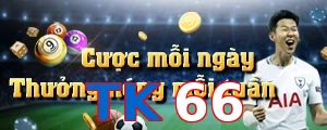 TK66